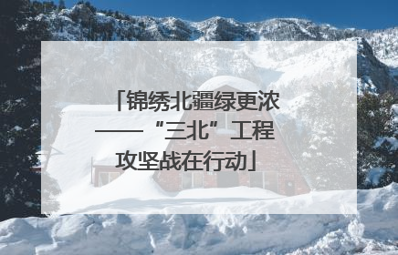 锦绣北疆绿更浓——“三北”工程攻坚战在行动