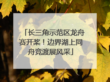 长三角示范区龙舟赛开桨！边界湖上同舟竞渡展风采
