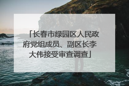 长春市绿园区人民政府党组成员、副区长李大伟接受审查调查