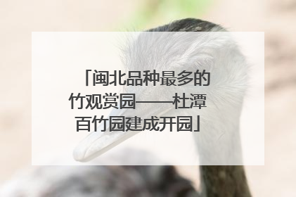 闽北品种最多的竹观赏园——杜潭百竹园建成开园