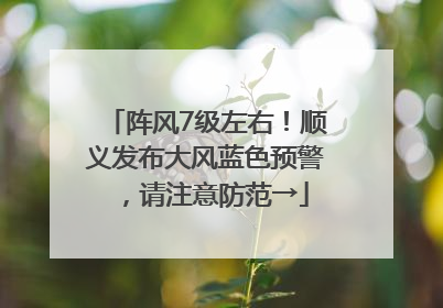 阵风7级左右！顺义发布大风蓝色预警，请注意防范→