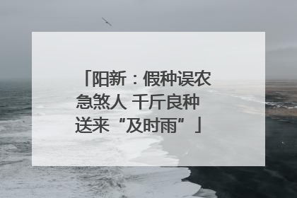 阳新：假种误农急煞人 千斤良种送来“及时雨”