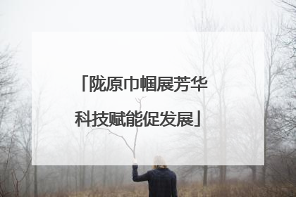 陇原巾帼展芳华 科技赋能促发展