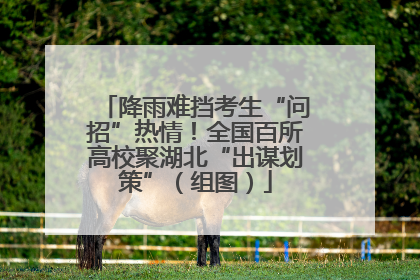 降雨难挡考生“问招”热情！全国百所高校聚湖北“出谋划策”（组图）