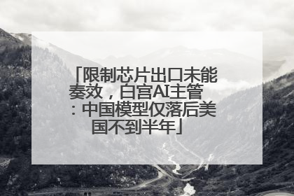 限制芯片出口未能奏效，白宫AI主管：中国模型仅落后美国不到半年