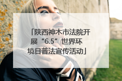 陕西神木市法院开展“6.5”世界环境日普法宣传活动
