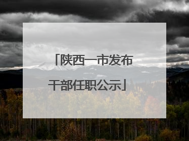 陕西一市发布干部任职公示