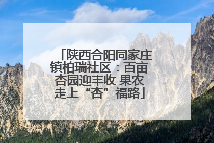 陕西合阳同家庄镇柏瑞社区：百亩杏园迎丰收 果农走上“杏”福路