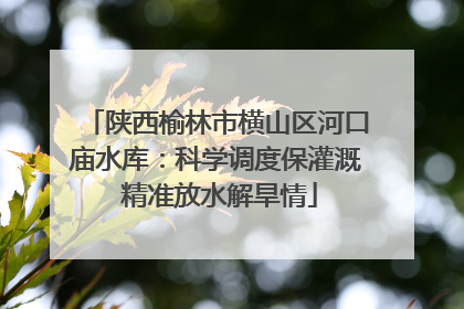 陕西榆林市横山区河口庙水库：科学调度保灌溉 精准放水解旱情