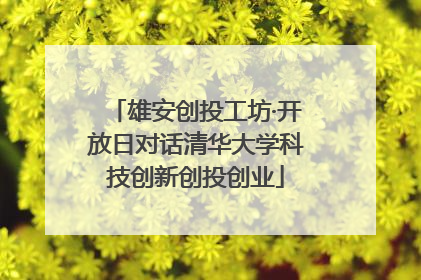 雄安创投工坊·开放日对话清华大学科技创新创投创业