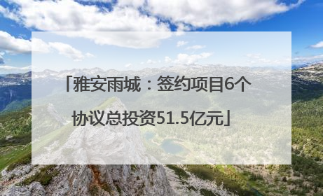 雅安雨城：签约项目6个 协议总投资51.5亿元