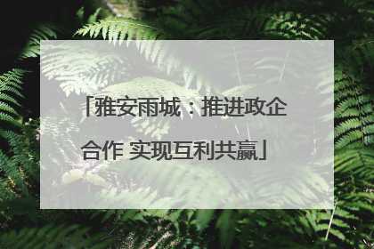 雅安雨城：推进政企合作 实现互利共赢