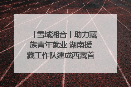 雪域湘音丨助力藏族青年就业 湖南援藏工作队建成西藏首个清洁能源装备园
