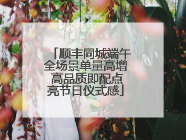 顺丰同城端午全场景单量高增 高品质即配点亮节日仪式感