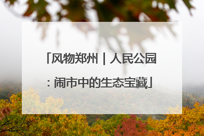 风物郑州｜人民公园：闹市中的生态宝藏