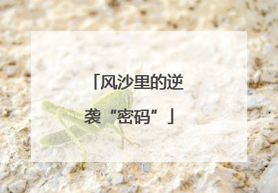 风沙里的逆袭“密码”