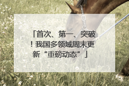 首次、第一、突破！我国多领域周末更新“重磅动态”
