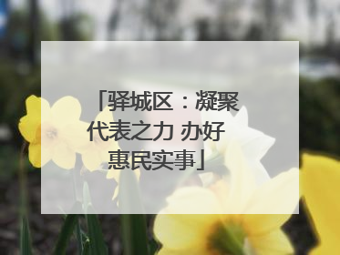 驿城区：凝聚代表之力 办好惠民实事