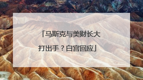 马斯克与美财长大打出手？白宫回应