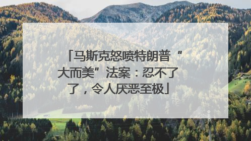 马斯克怒喷特朗普“大而美”法案：忍不了了，令人厌恶至极
