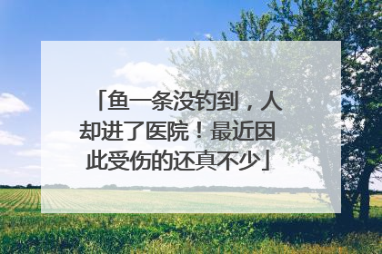 鱼一条没钓到，人却进了医院！最近因此受伤的还真不少