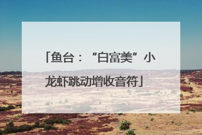 鱼台：“白富美”小龙虾跳动增收音符