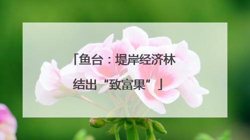 鱼台：堤岸经济林结出“致富果”