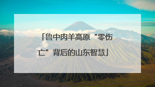 鲁中肉羊高原“零伤亡”背后的山东智慧