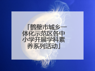 鹤壁市城乡一体化示范区各中小学开展学科素养系列活动