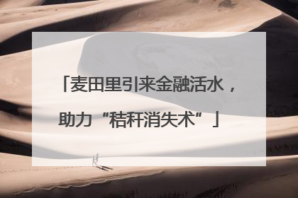 麦田里引来金融活水，助力“秸秆消失术”