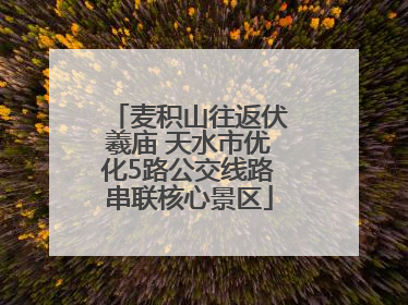 麦积山往返伏羲庙 天水市优化5路公交线路串联核心景区