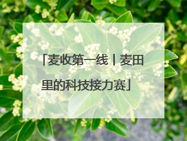 麦收第一线丨麦田里的科技接力赛
