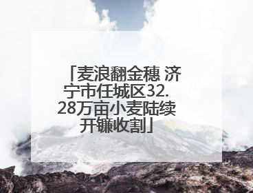 麦浪翻金穗 济宁市任城区32.28万亩小麦陆续开镰收割
