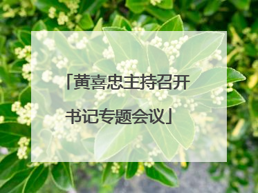 黄喜忠主持召开书记专题会议