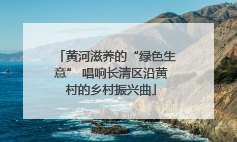 黄河滋养的“绿色生意” 唱响长清区沿黄村的乡村振兴曲