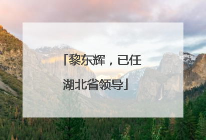 黎东辉，已任湖北省领导