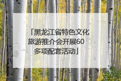黑龙江省特色文化旅游推介会开展60多项配套活动