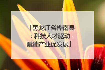 黑龙江省桦南县：科技人才驱动 赋能产业促发展