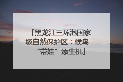 黑龙江三环泡国家级自然保护区：候鸟“带娃”添生机