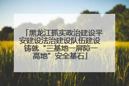 黑龙江抓实政治建设平安建设法治建设队伍建设 铸就“三基地一屏障一高地”安全基石