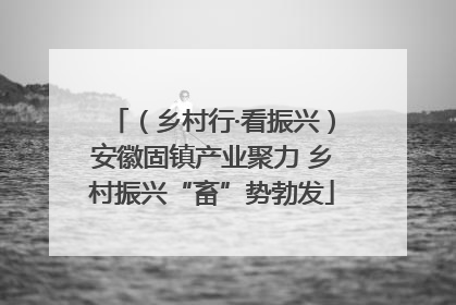 （乡村行·看振兴）安徽固镇产业聚力 乡村振兴“畜”势勃发