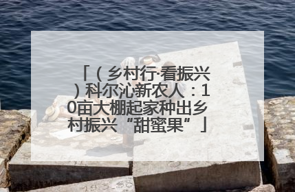 （乡村行·看振兴）科尔沁新农人：10亩大棚起家种出乡村振兴“甜蜜果”