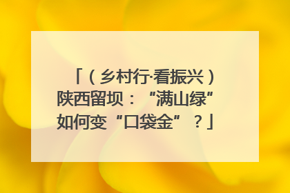 （乡村行·看振兴）陕西留坝：“满山绿”如何变“口袋金”？