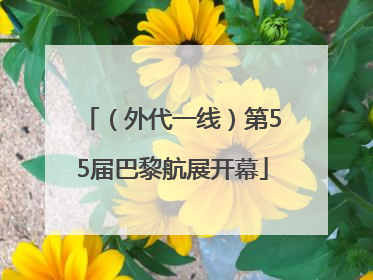 （外代一线）第55届巴黎航展开幕