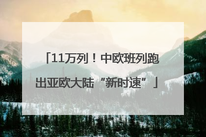 11万列！中欧班列跑出亚欧大陆“新时速”