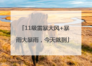 11级雷暴大风+暴雨大暴雨，今天就到