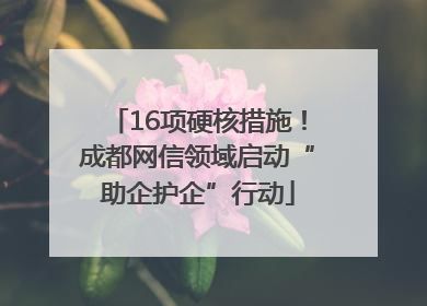 16项硬核措施！成都网信领域启动“助企护企”行动