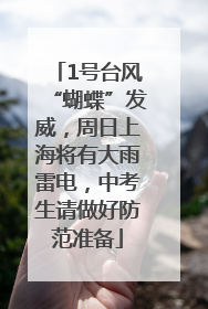 1号台风“蝴蝶”发威，周日上海将有大雨雷电，中考生请做好防范准备