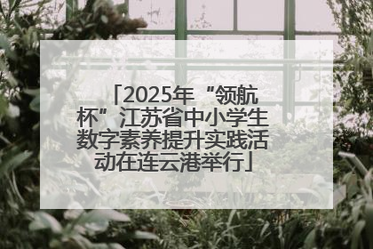 2025年“领航杯”江苏省中小学生数字素养提升实践活动在连云港举行