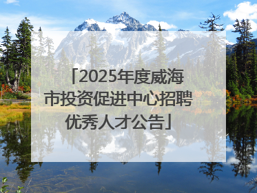 2025年度威海市投资促进中心招聘优秀人才公告